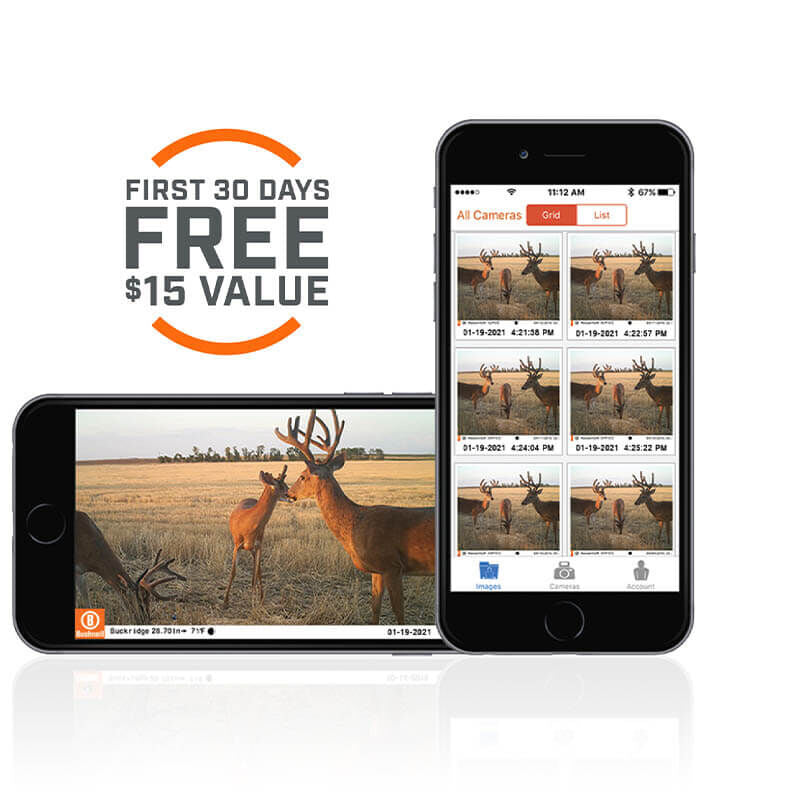 Bushnell CelluCORE 20 Cellular Trail Camera-Archery- Hunting, Target, Traditional-Jeff’s Specialty Sports