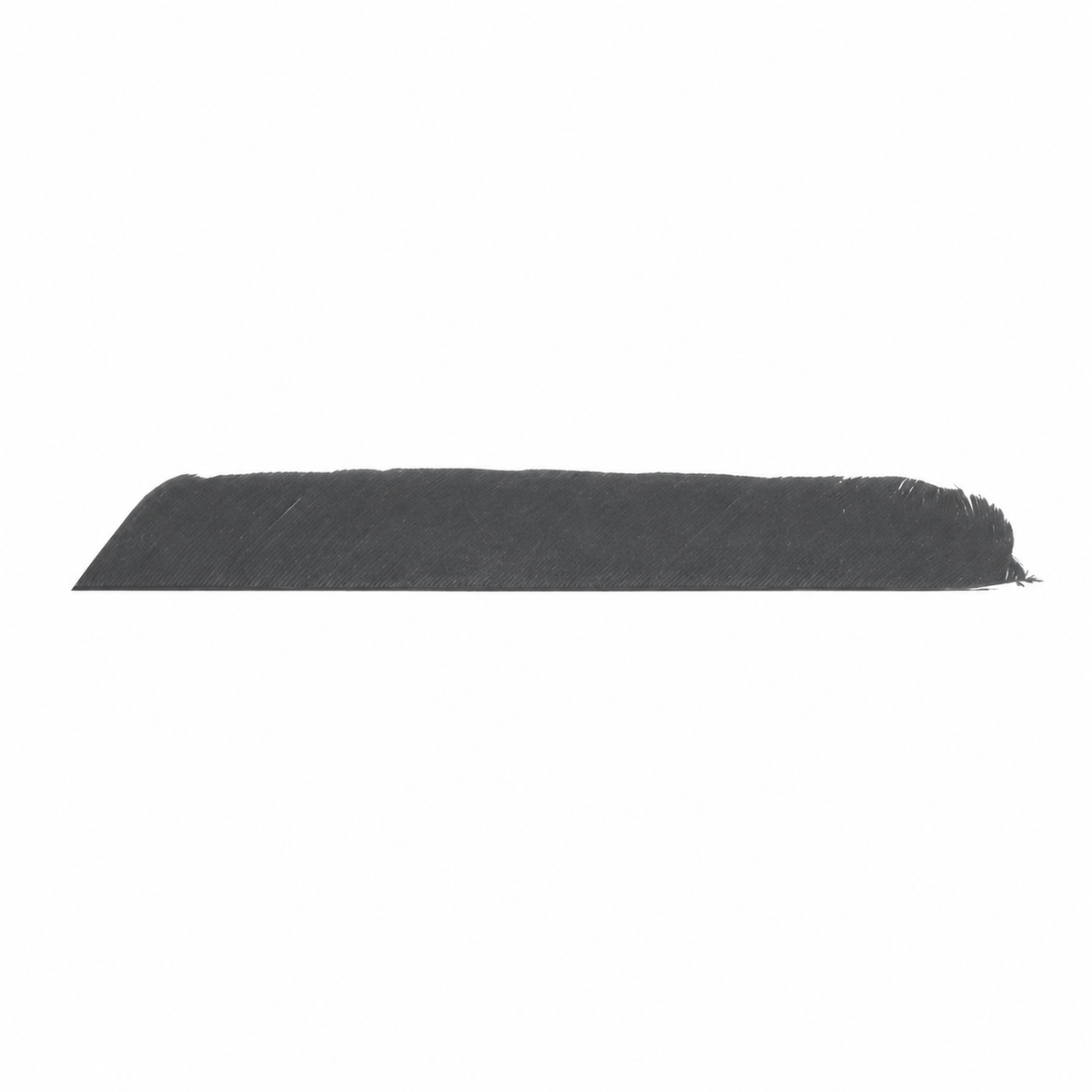 Trueflight Full Length Feathers, 50pk