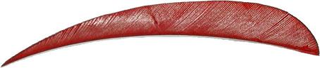 Trueflight Feather CLEARANCE SALE, 36 pk-Archery- Hunting, Target, Traditional-Jeff’s Specialty Sports