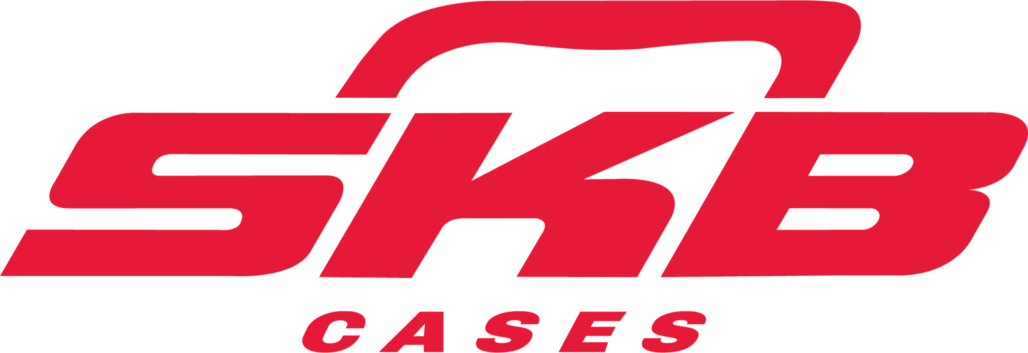 SKB Cases