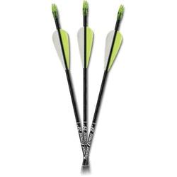 Carbon Express Thunder Express Arrows, dz.-Archery- Hunting, Target, Traditional-Jeff’s Specialty Sports