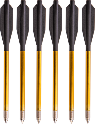 Bear Archery Desire mini crossbow bolts; six pictured, 12 included per package