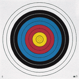 Saunders Archery Tag Stock Target Faces